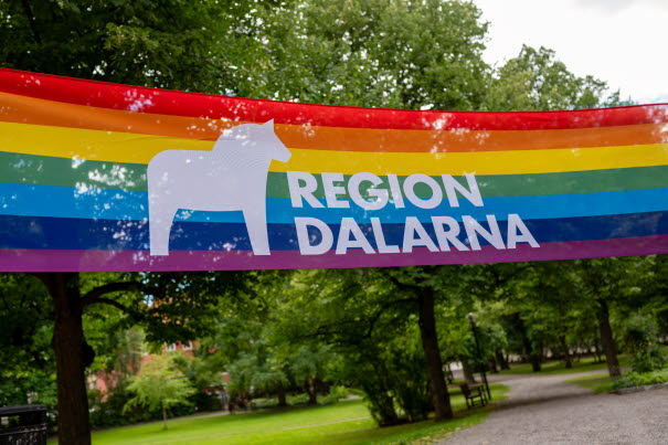 Prideflagga med Region Dalarnas logotyp på. 
